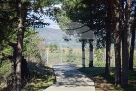 Разлог - хълм - Голак - алея