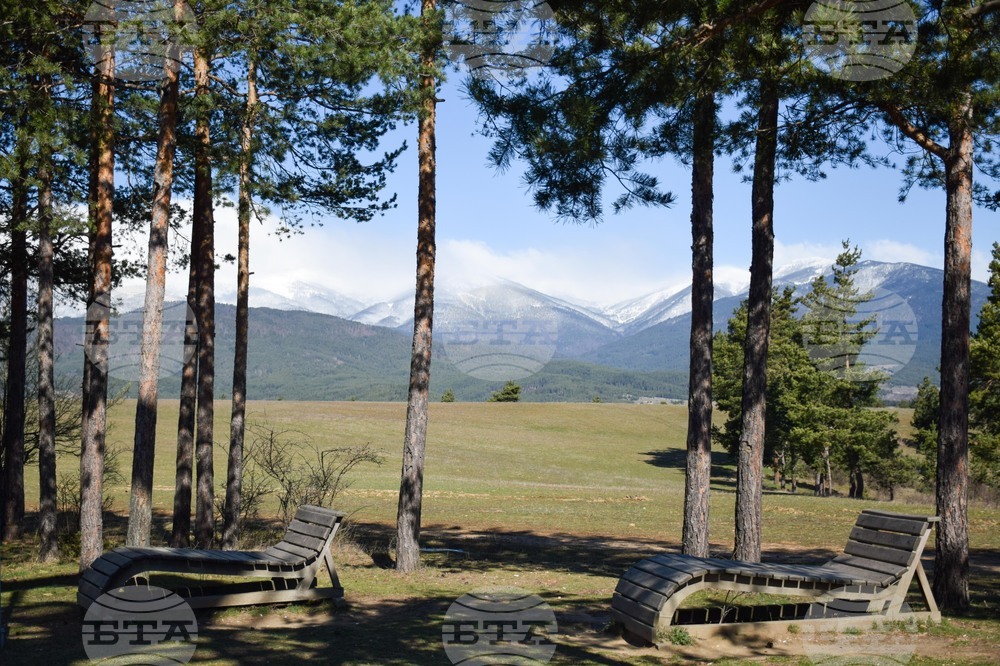 Разлог - хълм - Голак - алея