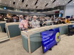 Белгия - Европейски граждански панел