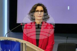 Белгия - Европейски граждански панел - Хаджа Лабиб