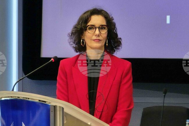 Белгия - Европейски граждански панел  