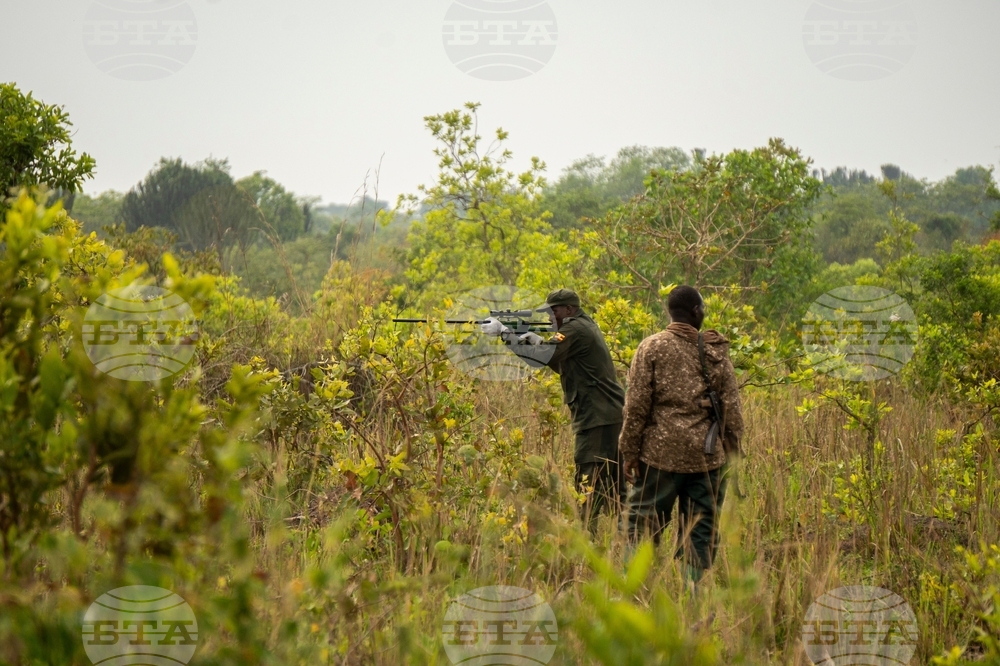 Uganda Rhino Translocation