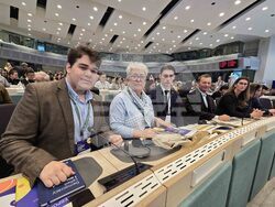 Белгия - Европейски граждански панел