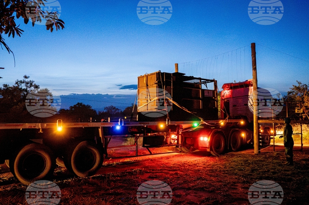 Uganda Rhino Translocation