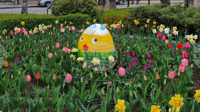 Общинският детски комплекс в Лозница обяви конкурс за детска рисунка и картичка на тема "Любим, весел и пъстър Великден"