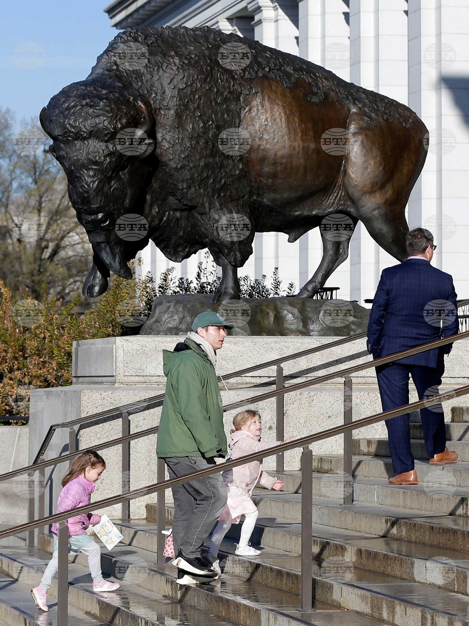 America 250 Bison Statues