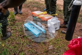 Uganda Rhino Translocation