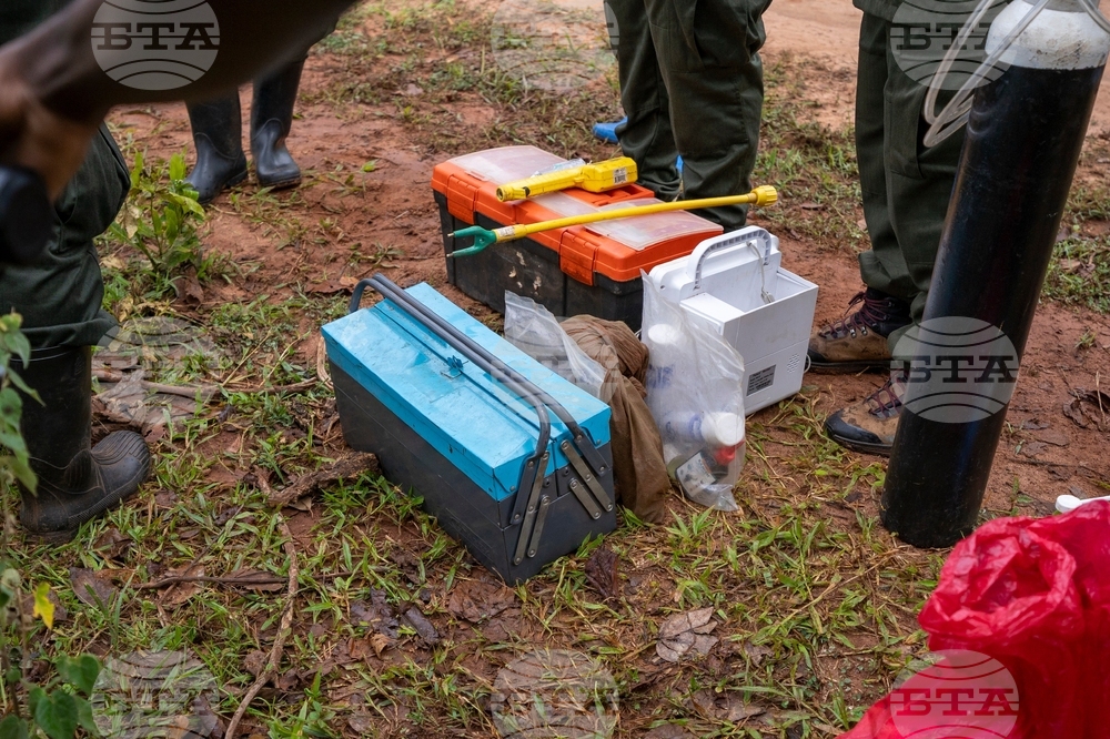 Uganda Rhino Translocation