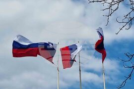 Словения - парламентарни избори - предизборна обстановка - знаме