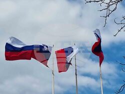 Словения - парламентарни избори - предизборна обстановка - знаме