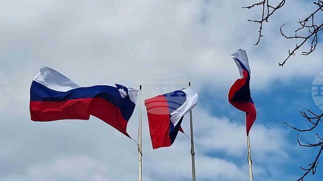 Обвинен за убийството на словенски полицай през ноември миналата година е осъден на затвор от шест години и три месеца