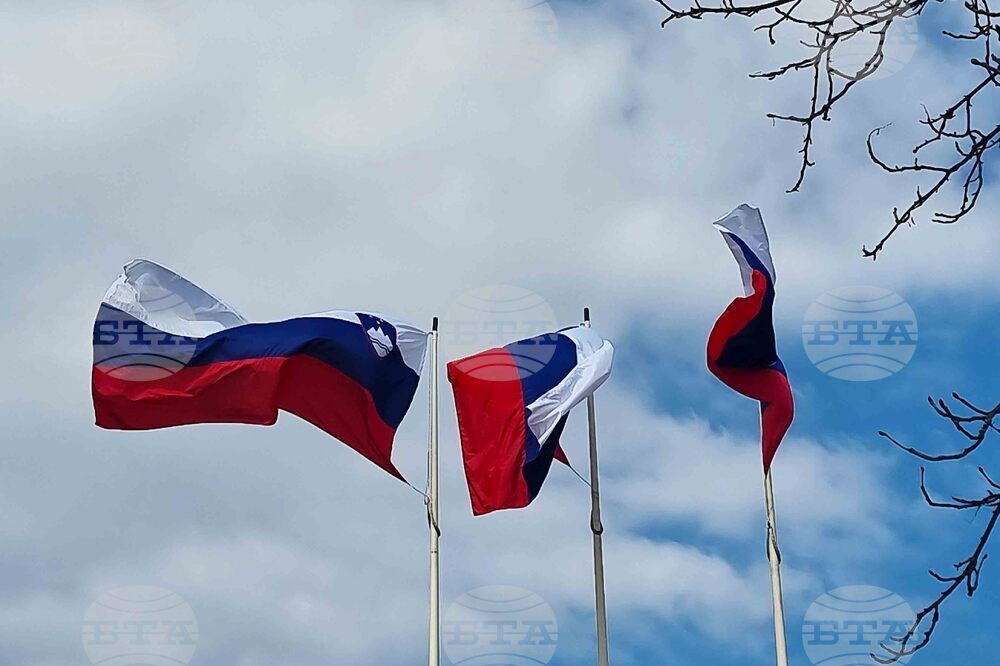 Словения - парламентарни избори - предизборна обстановка - знаме