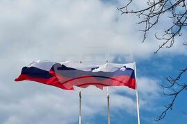 Словения - парламентарни избори - предизборна обстановка - знаме