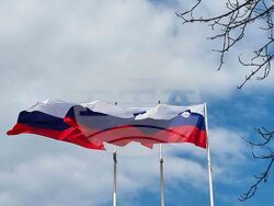 Словения - парламентарни избори - предизборна обстановка - знаме
