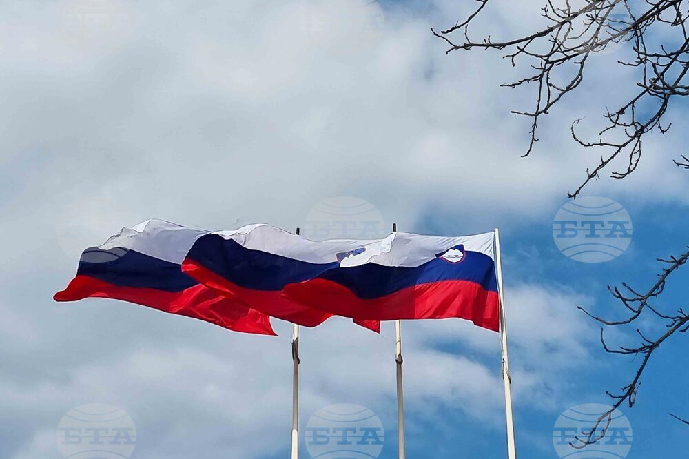 Словения - парламентарни избори - предизборна обстановка - знаме