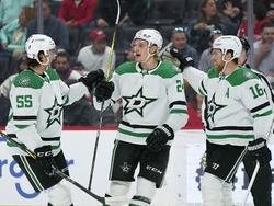 Stars Red Wings Hockey