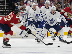 Maple Leafs Panthers Hockey