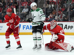 Stars Red Wings Hockey