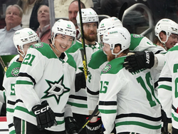 Stars Red Wings Hockey