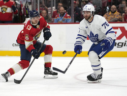 Maple Leafs Panthers Hockey