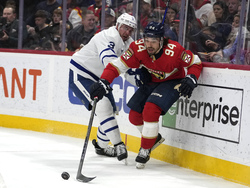 Maple Leafs Panthers Hockey