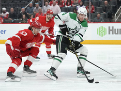 Stars Red Wings Hockey