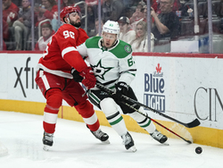 Stars Red Wings Hockey