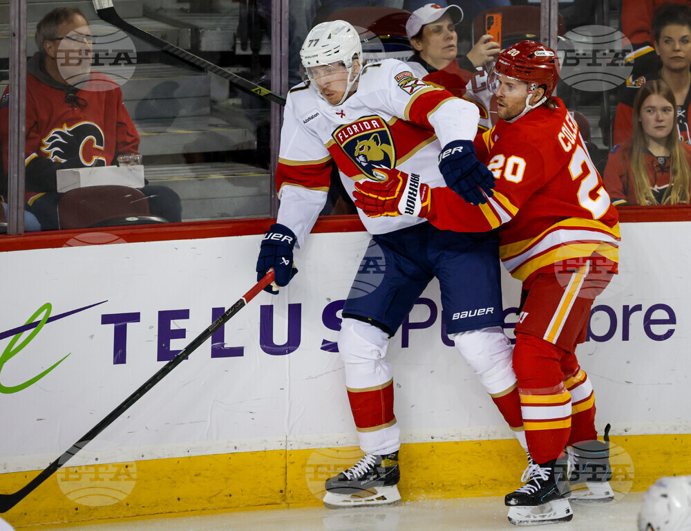 Panthers Flames Hockey