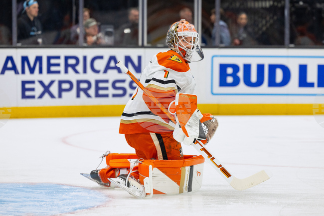 Ducks Mammoth Hockey