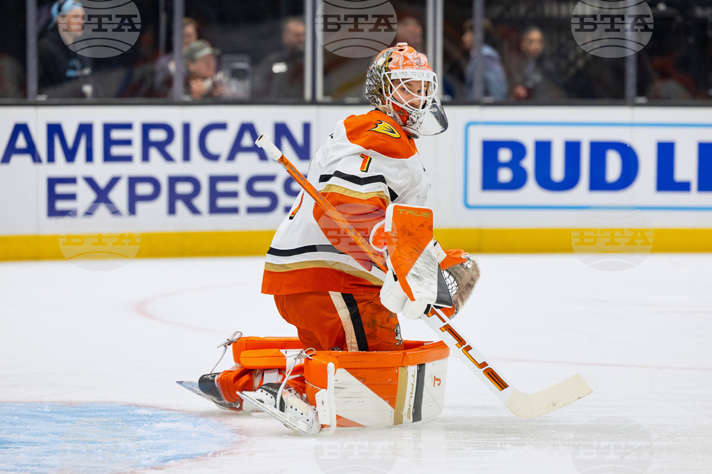 Ducks Mammoth Hockey