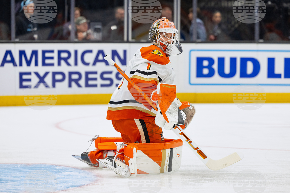 Ducks Mammoth Hockey