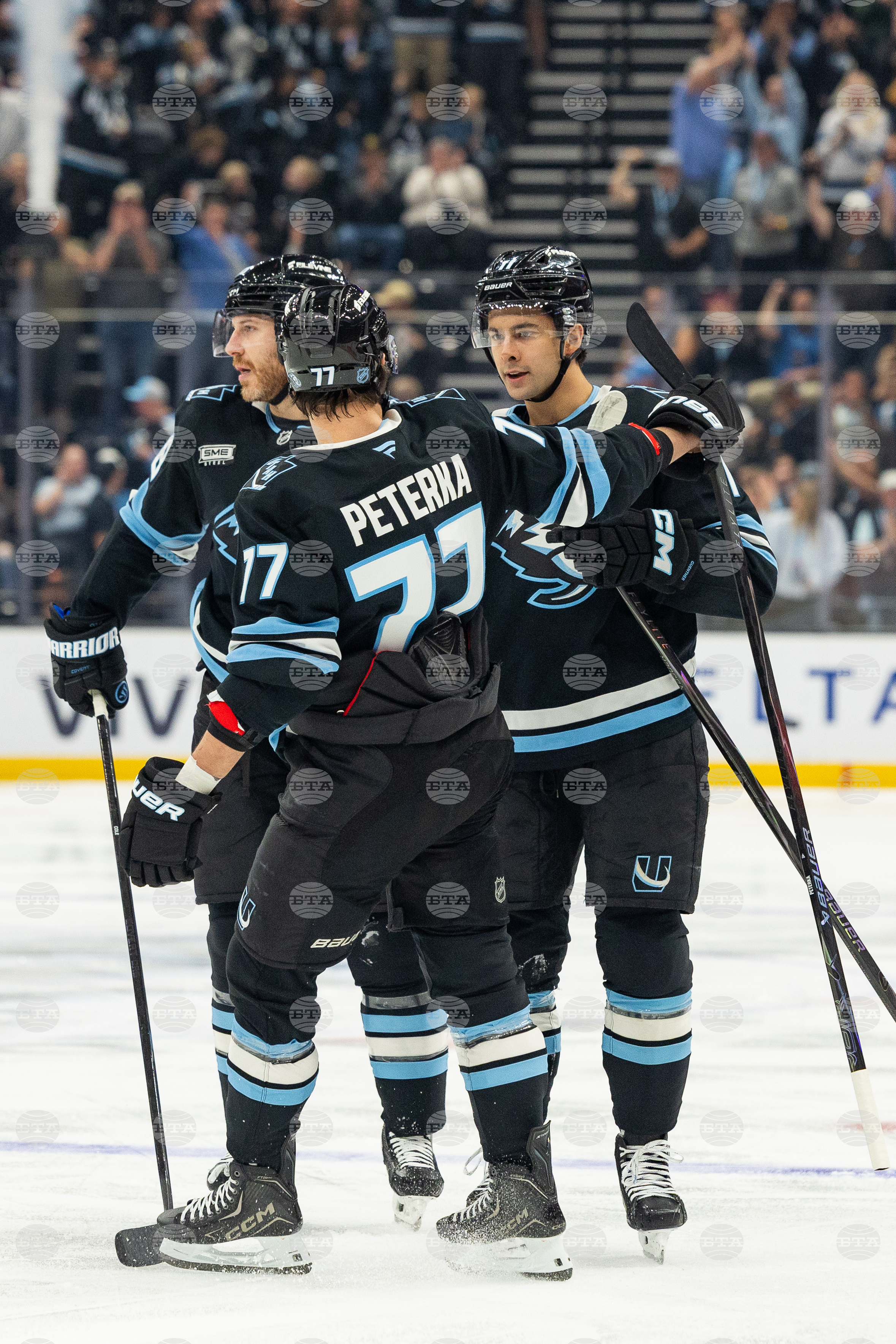 Ducks Mammoth Hockey