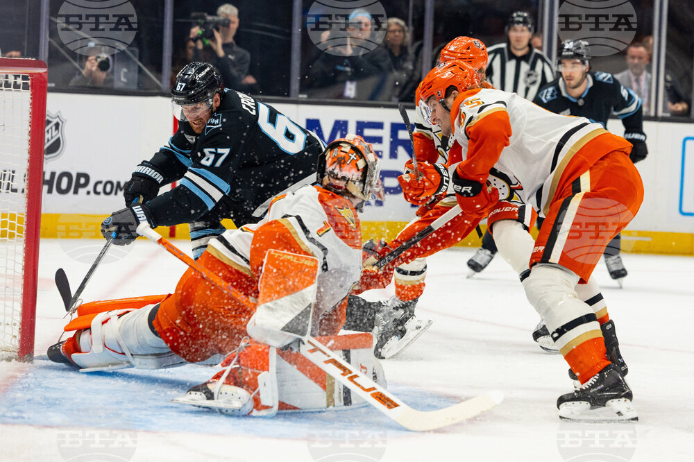 Ducks Mammoth Hockey