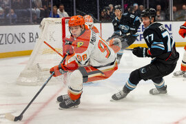 Ducks Mammoth Hockey