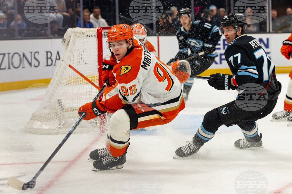 Ducks Mammoth Hockey