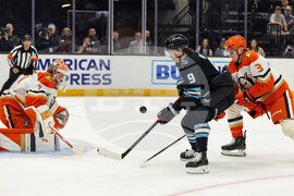 Ducks Mammoth Hockey