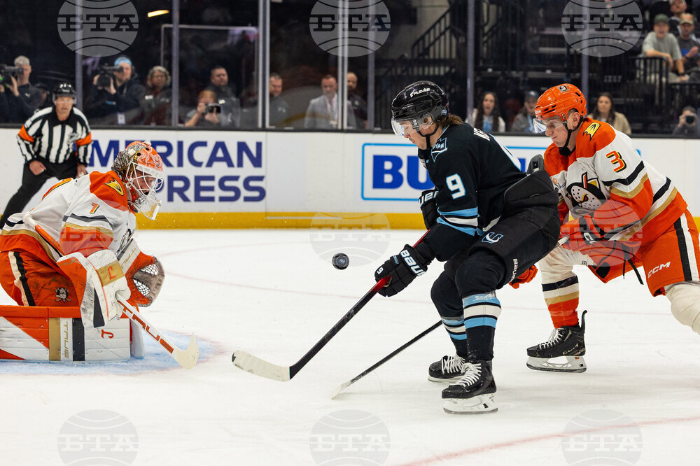 Ducks Mammoth Hockey