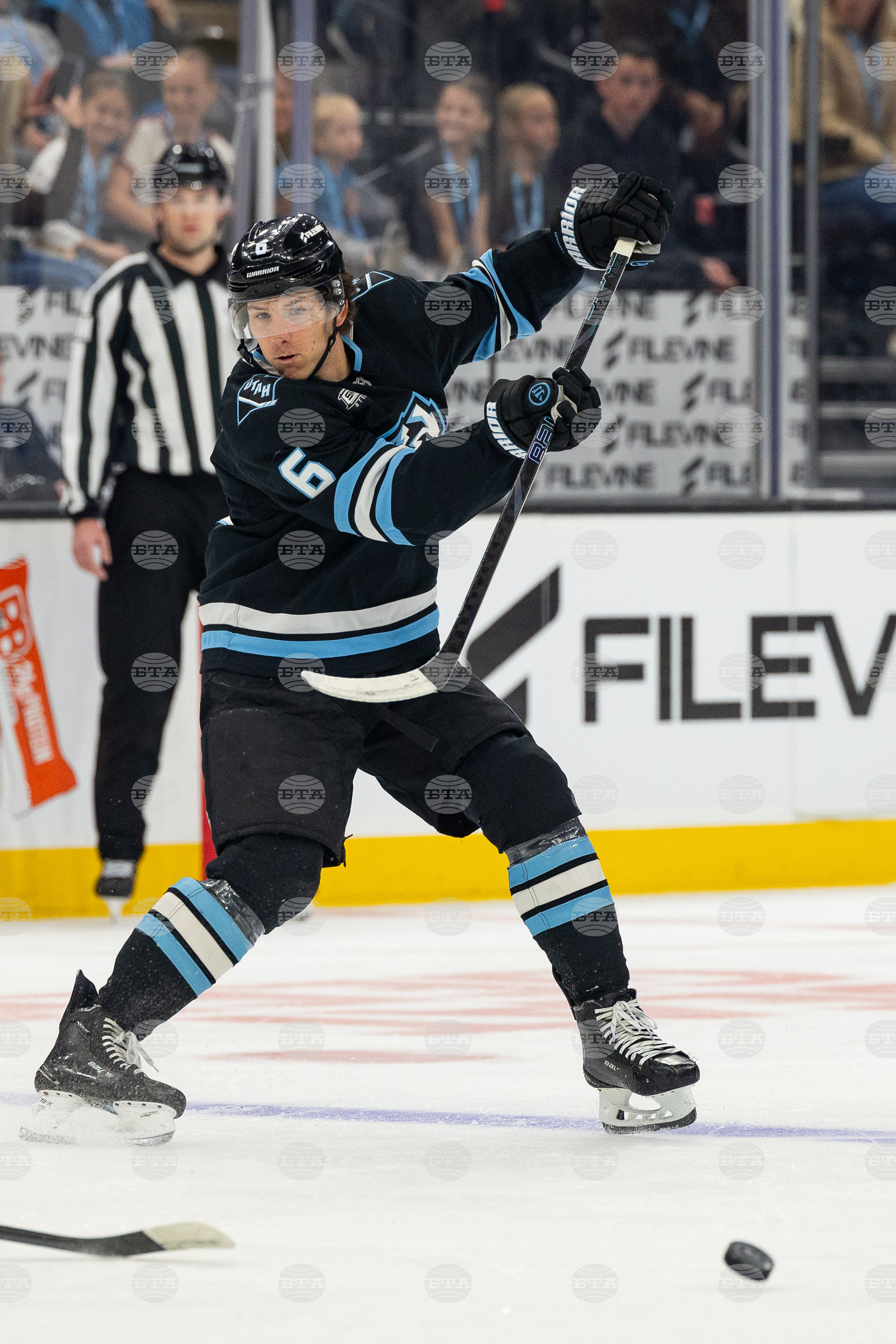 Ducks Mammoth Hockey