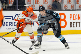 Ducks Mammoth Hockey