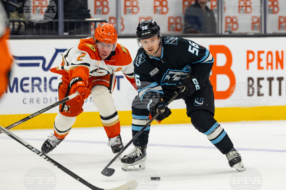 Ducks Mammoth Hockey