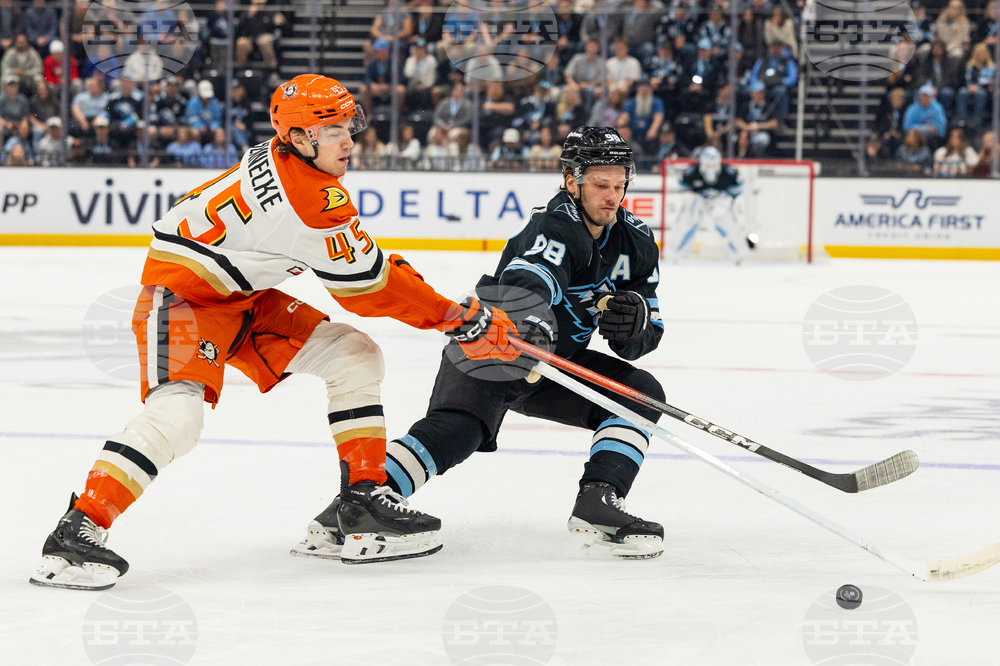 Ducks Mammoth Hockey