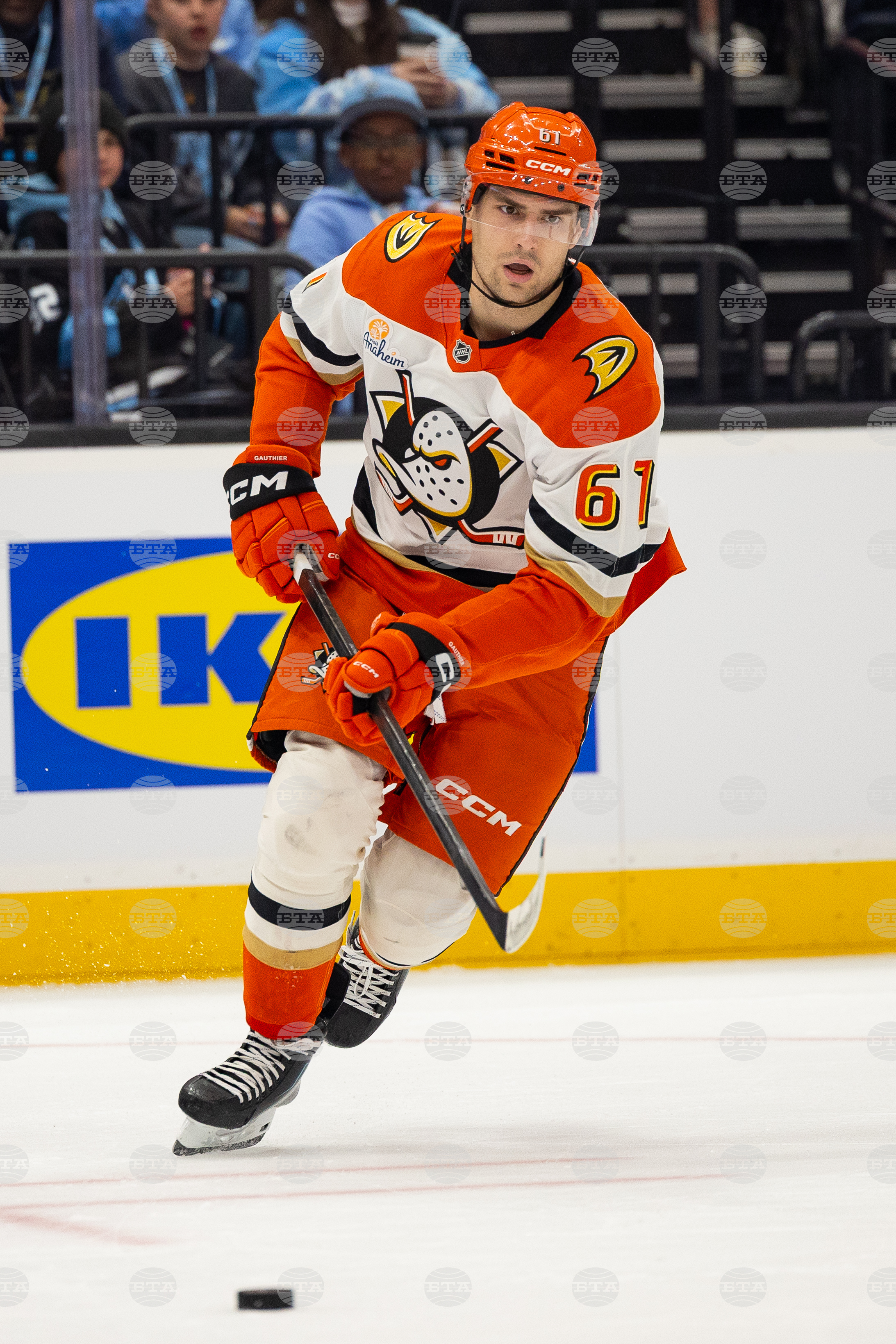 Ducks Mammoth Hockey