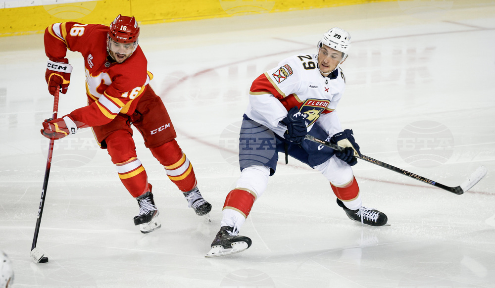 Panthers Flames Hockey