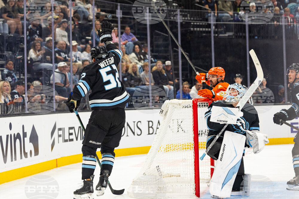 Ducks Mammoth Hockey