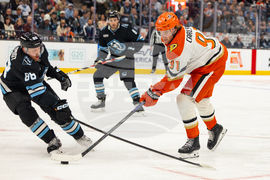 Ducks Mammoth Hockey