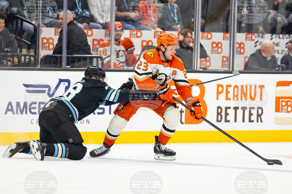 Ducks Mammoth Hockey