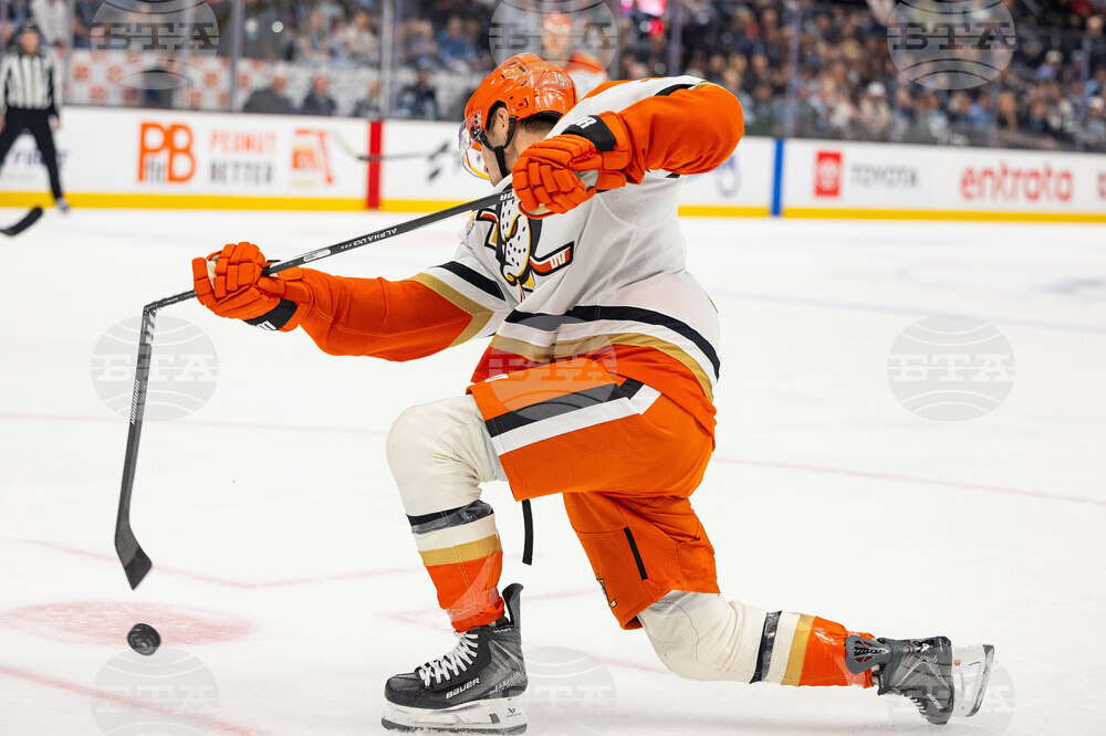 Ducks Mammoth Hockey