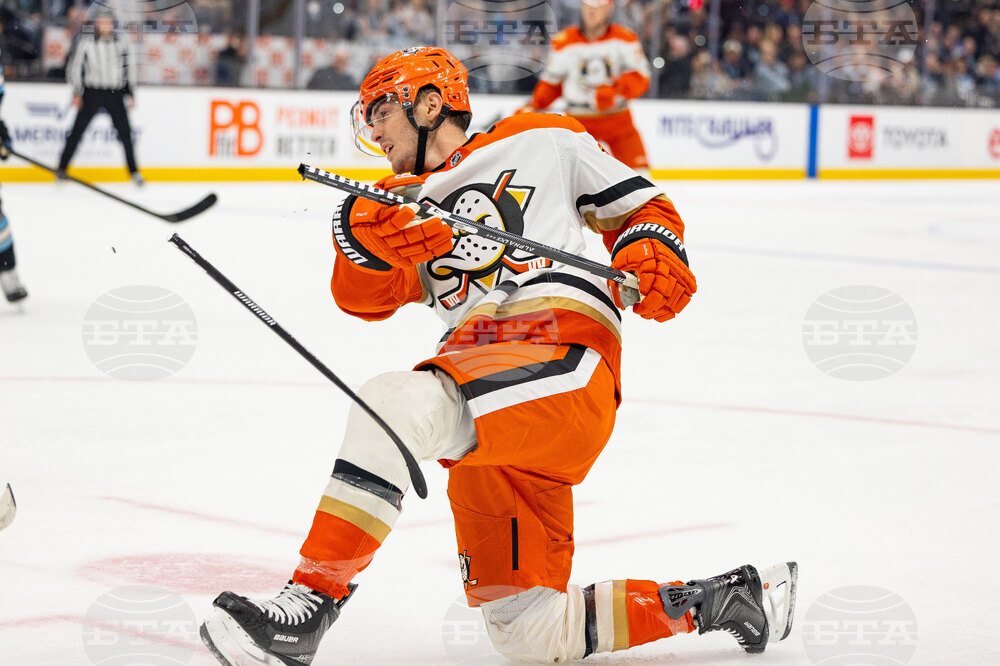 Ducks Mammoth Hockey