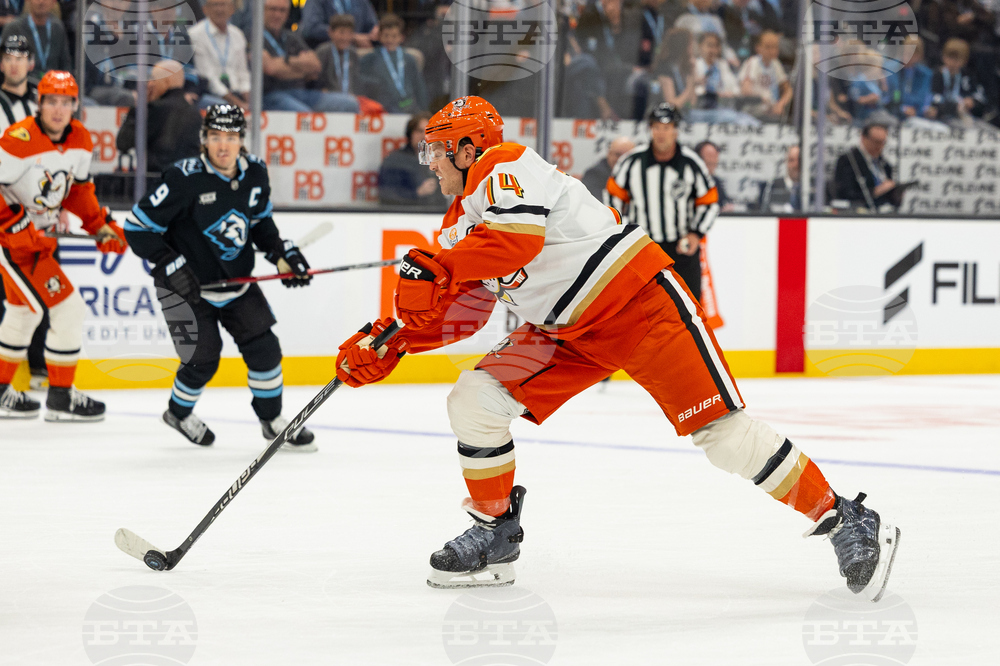 Ducks Mammoth Hockey