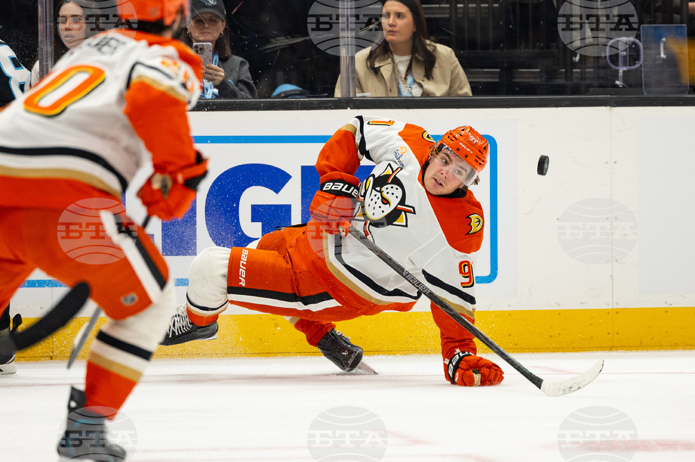 Ducks Mammoth Hockey